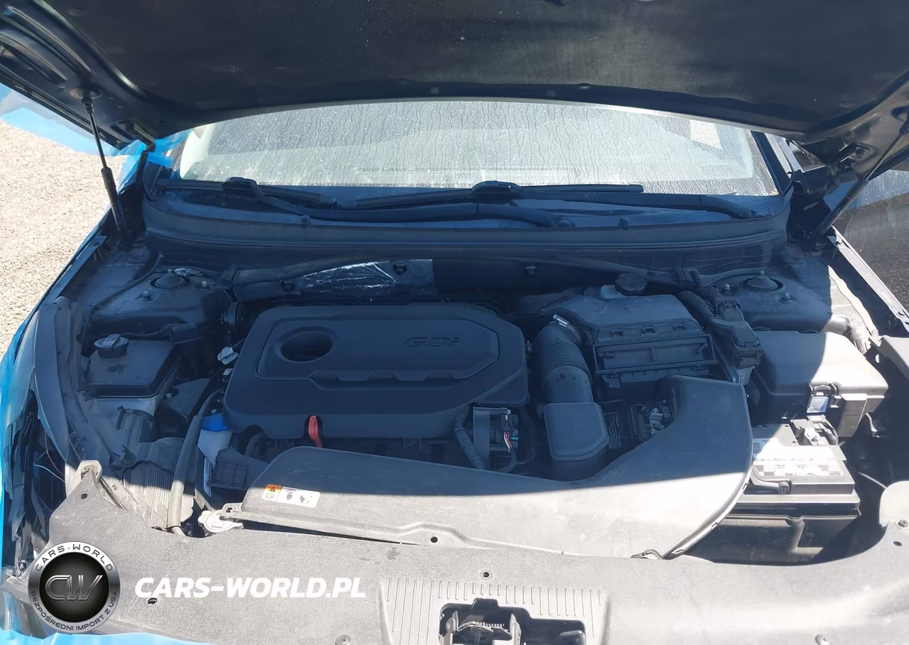 2016 Hyundai Sonata Se VIN:5NPE24AF6GH302254 - 10
