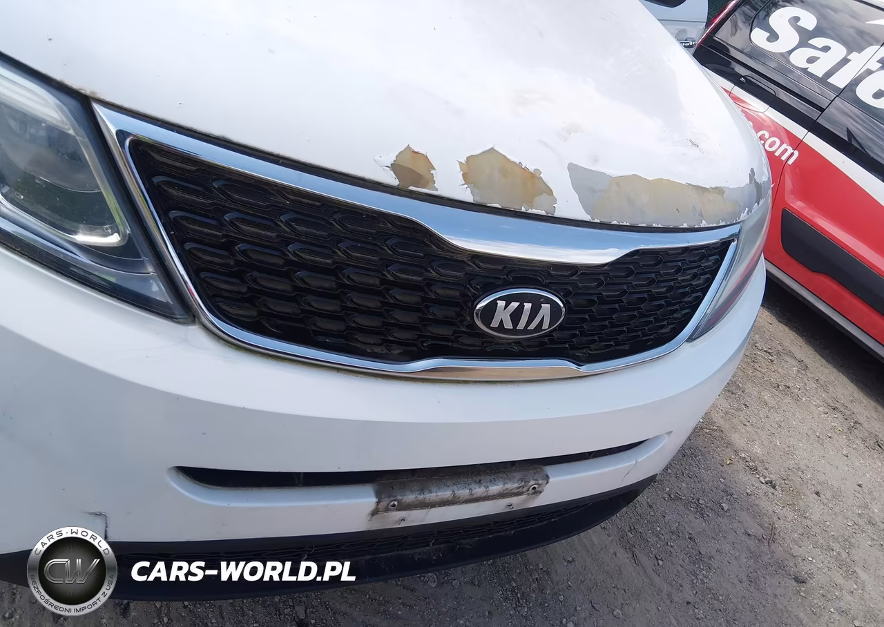 2014 Kia Sorento Lx VIN:5XYKT4A69EG476758 - 6