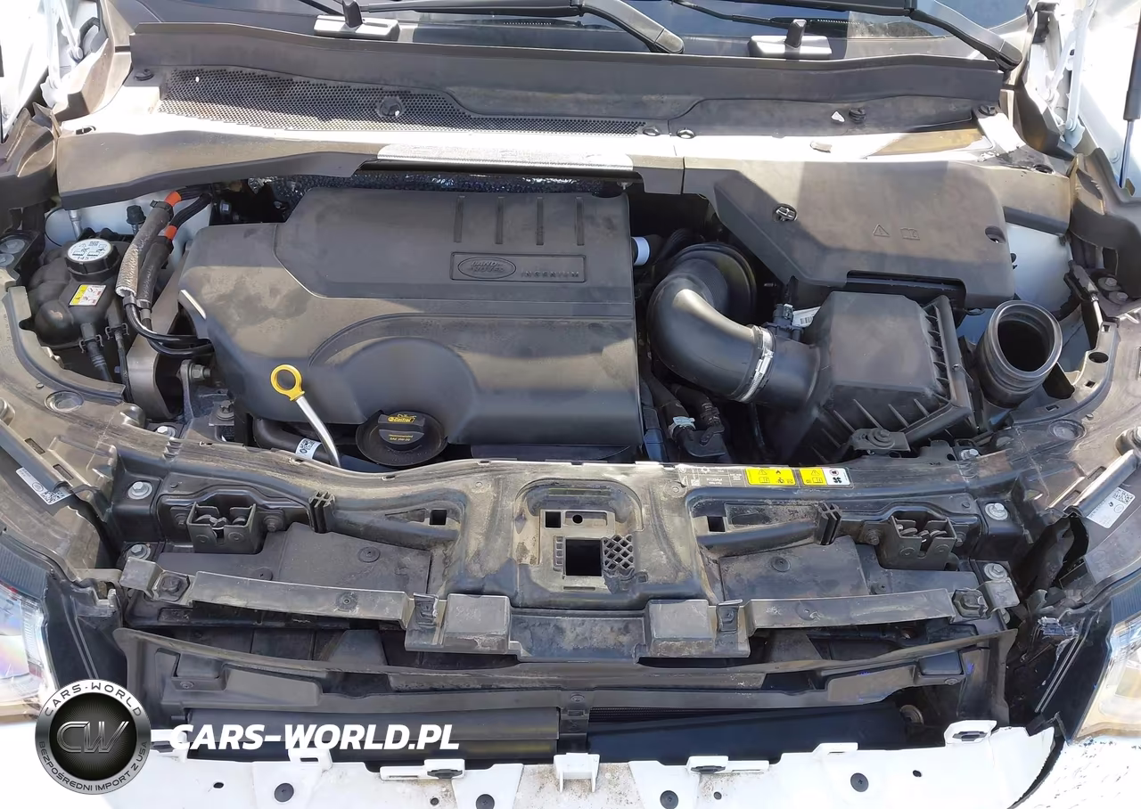 2023 Land Rover Discovery Sport Se VIN:SALCP2FX3PH337288 - 10