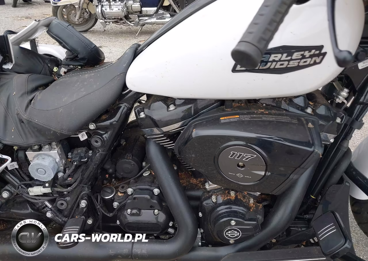 2024 Harley-Davidson Flhx VIN:1HD1KB714RB621122 - 8