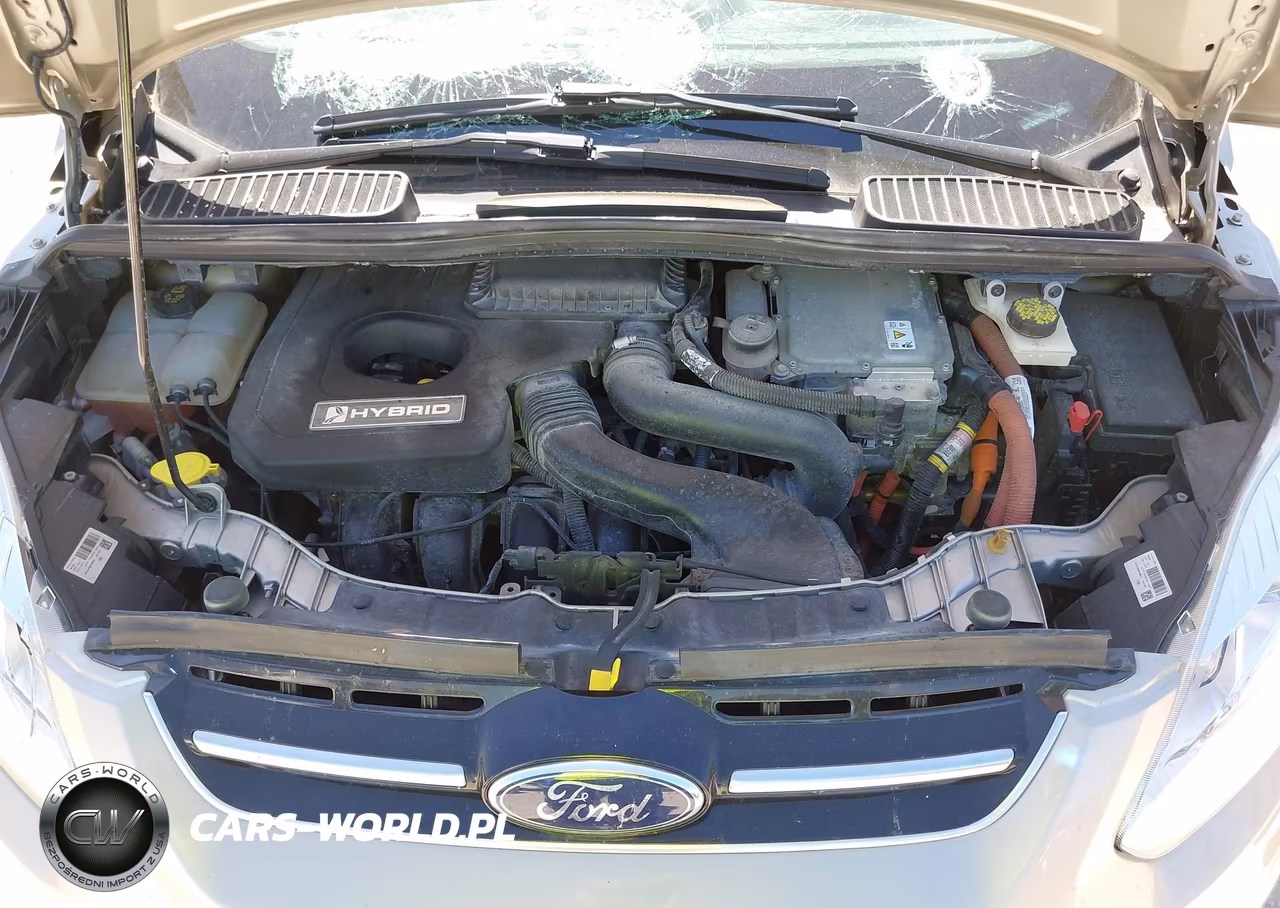 FORD C-MAX TITA VIN:1FADP5DU7HL114441 - 10