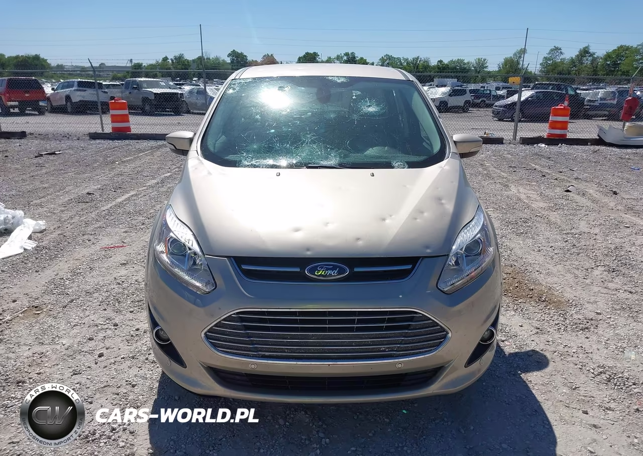 FORD C-MAX TITA VIN:1FADP5DU7HL114441 - 12