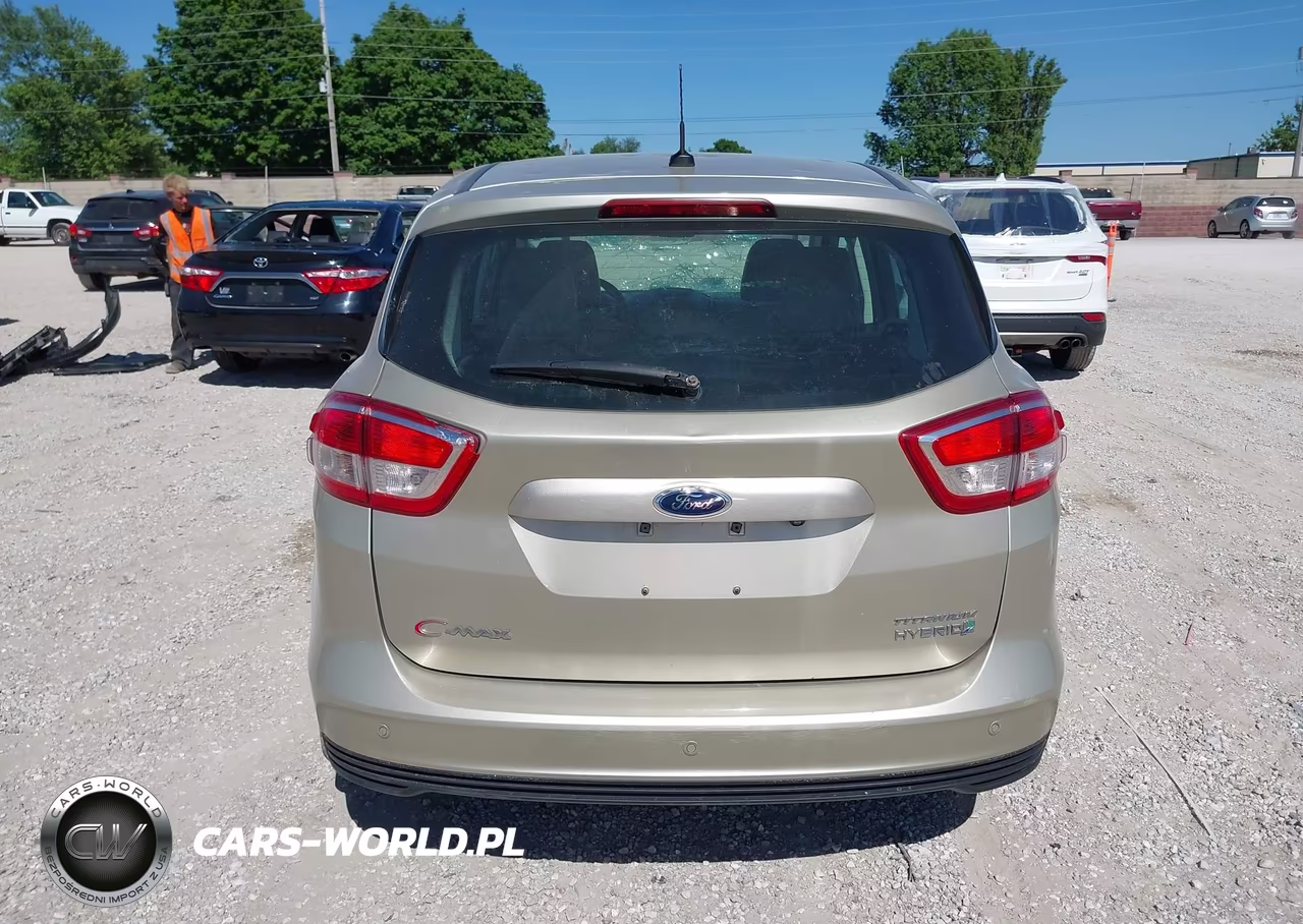 FORD C-MAX TITA VIN:1FADP5DU7HL114441 - 16