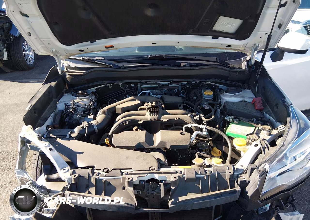 2018 Subaru Forester 2.5I Premium VIN:JF2SJAGC3JH508219 - 10