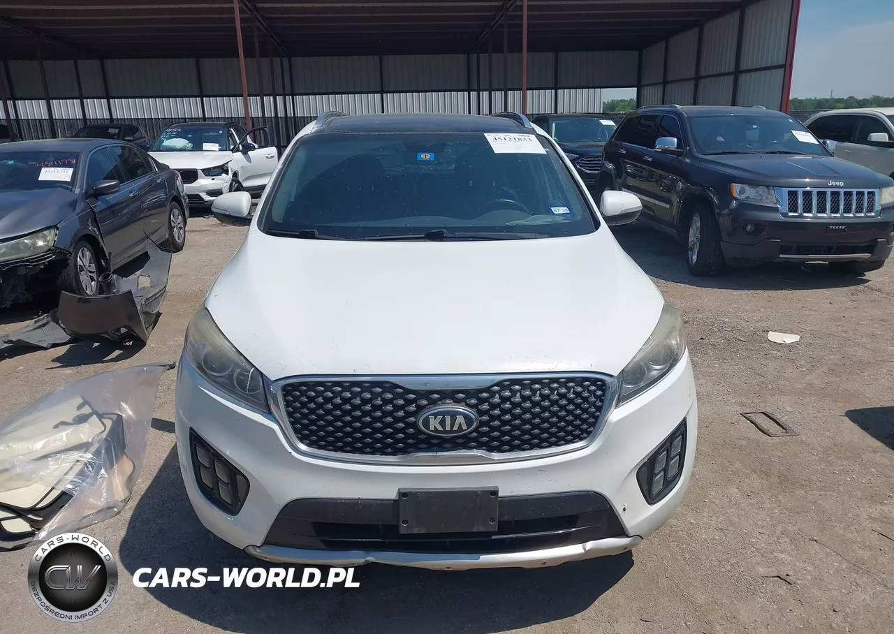2016 Kia Sorento 2.0T Sxl VIN:5XYPK4A19GG007847 - 12