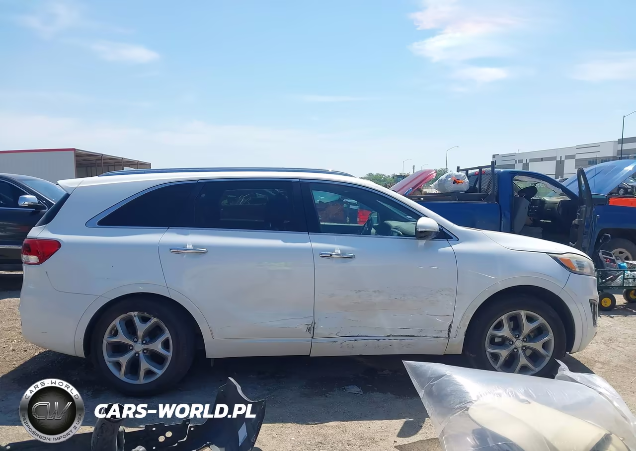 2016 Kia Sorento 2.0T Sxl VIN:5XYPK4A19GG007847 - 13