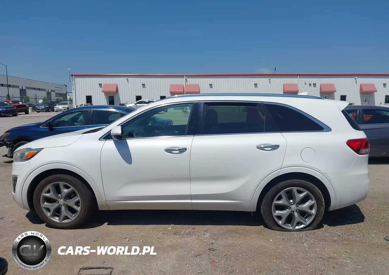 2016 Kia Sorento 2.0T Sxl VIN:5XYPK4A19GG007847 - 14