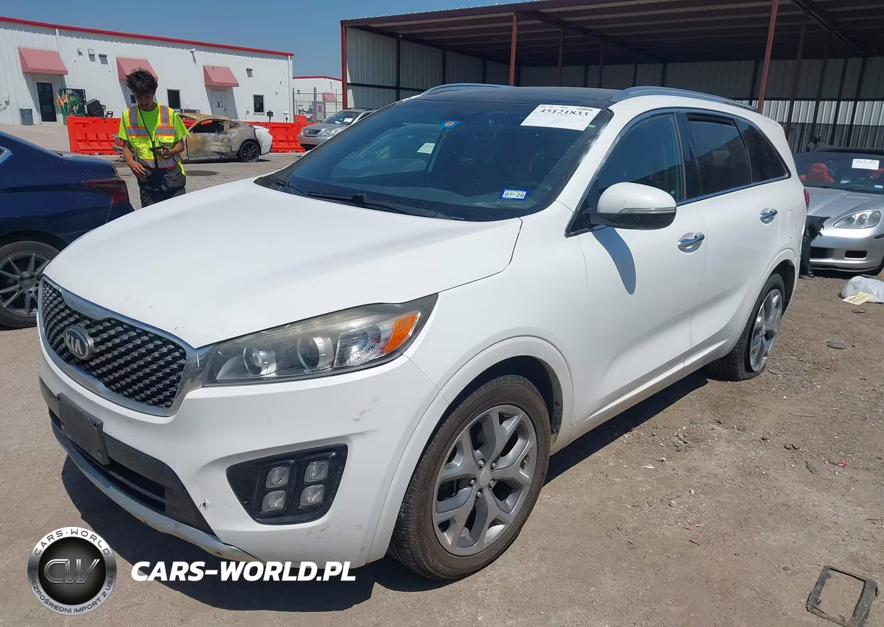 2016 Kia Sorento 2.0T Sxl VIN:5XYPK4A19GG007847 - 2