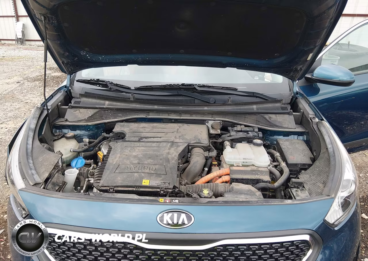 2017 Kia Niro Lx VIN:KNDCB3LC2H5079023 - 10