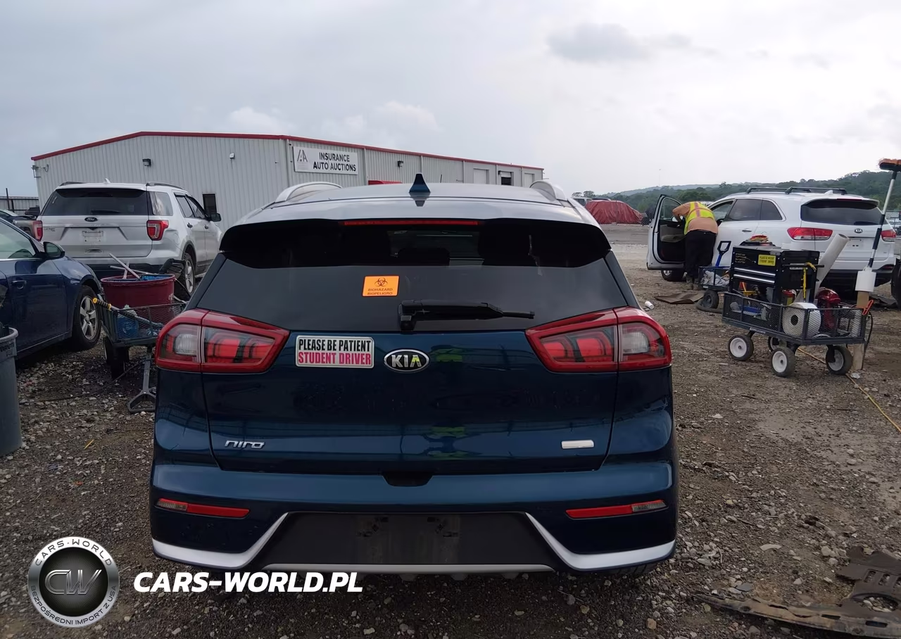 2017 Kia Niro Lx VIN:KNDCB3LC2H5079023 - 17