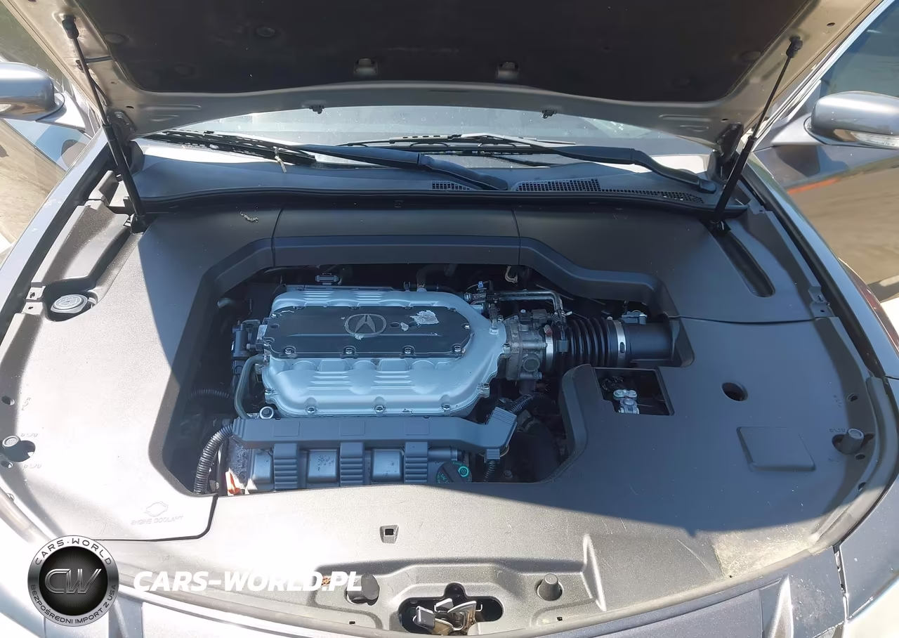 2009 Acura Tl 3.5 VIN:19UUA86219A026038 - 10