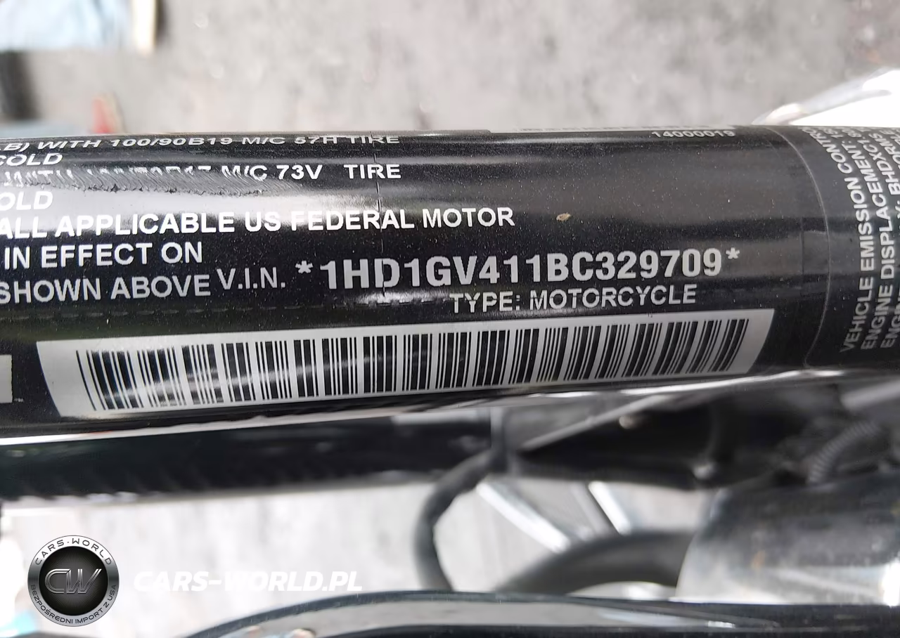 2011 Harley-Davidson Fxdc VIN:1HD1GV411BC329709 - 10
