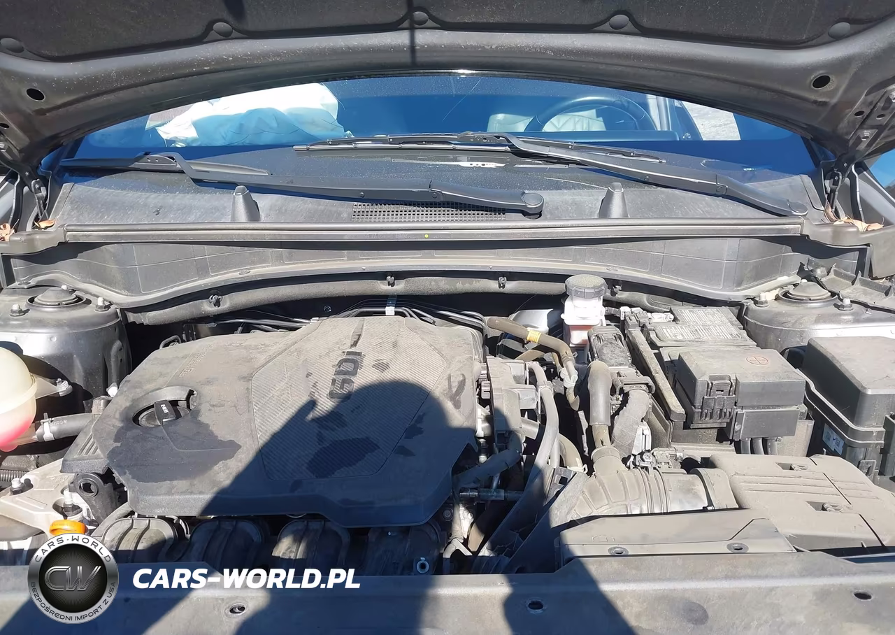 2023 Kia Sportage X-Pro VIN:5XYK7CAF1PG014910 - 10
