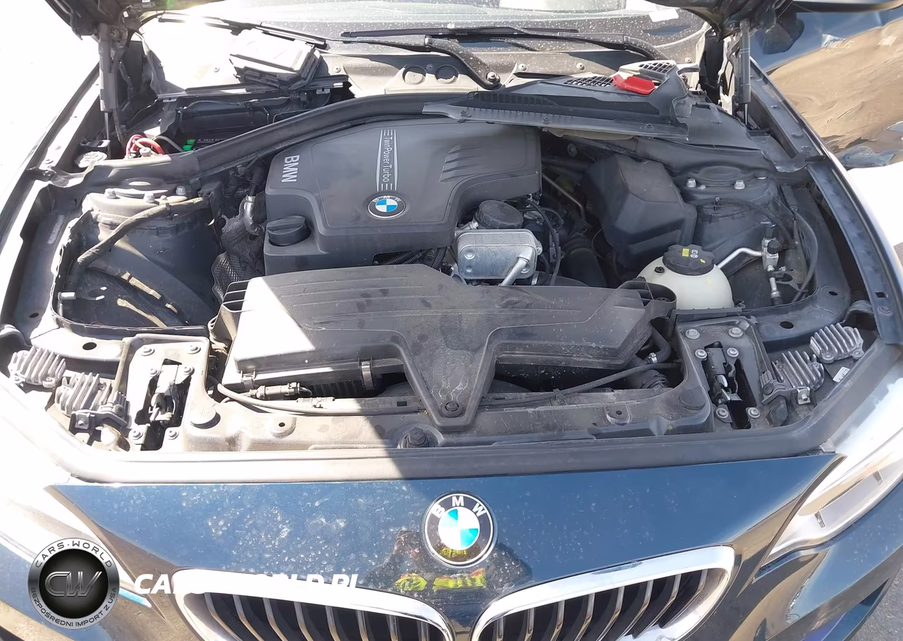 2016 BMW 228I xDrive VIN:WBA1G9C53GV726683 - 10