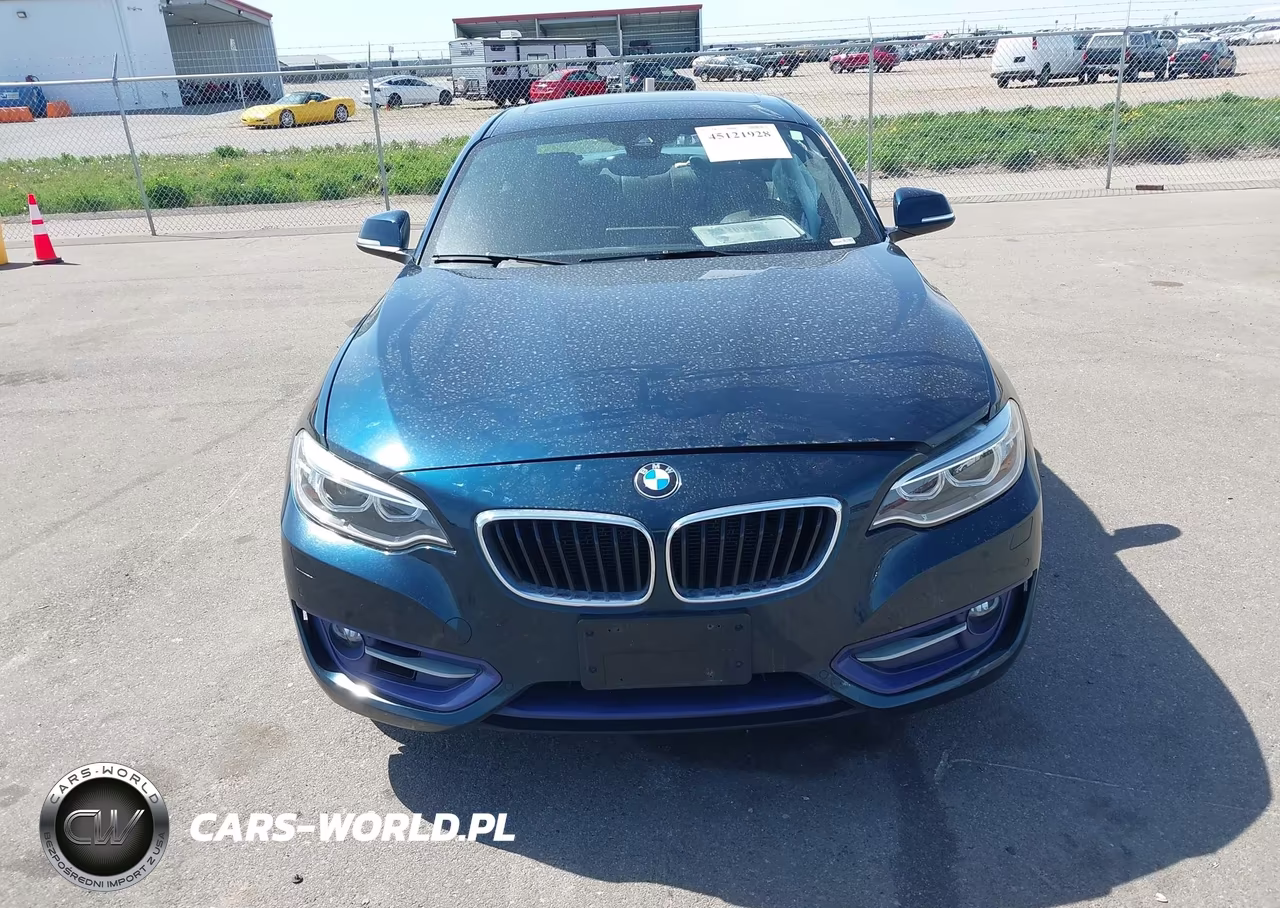 2016 BMW 228I xDrive VIN:WBA1G9C53GV726683 - 13