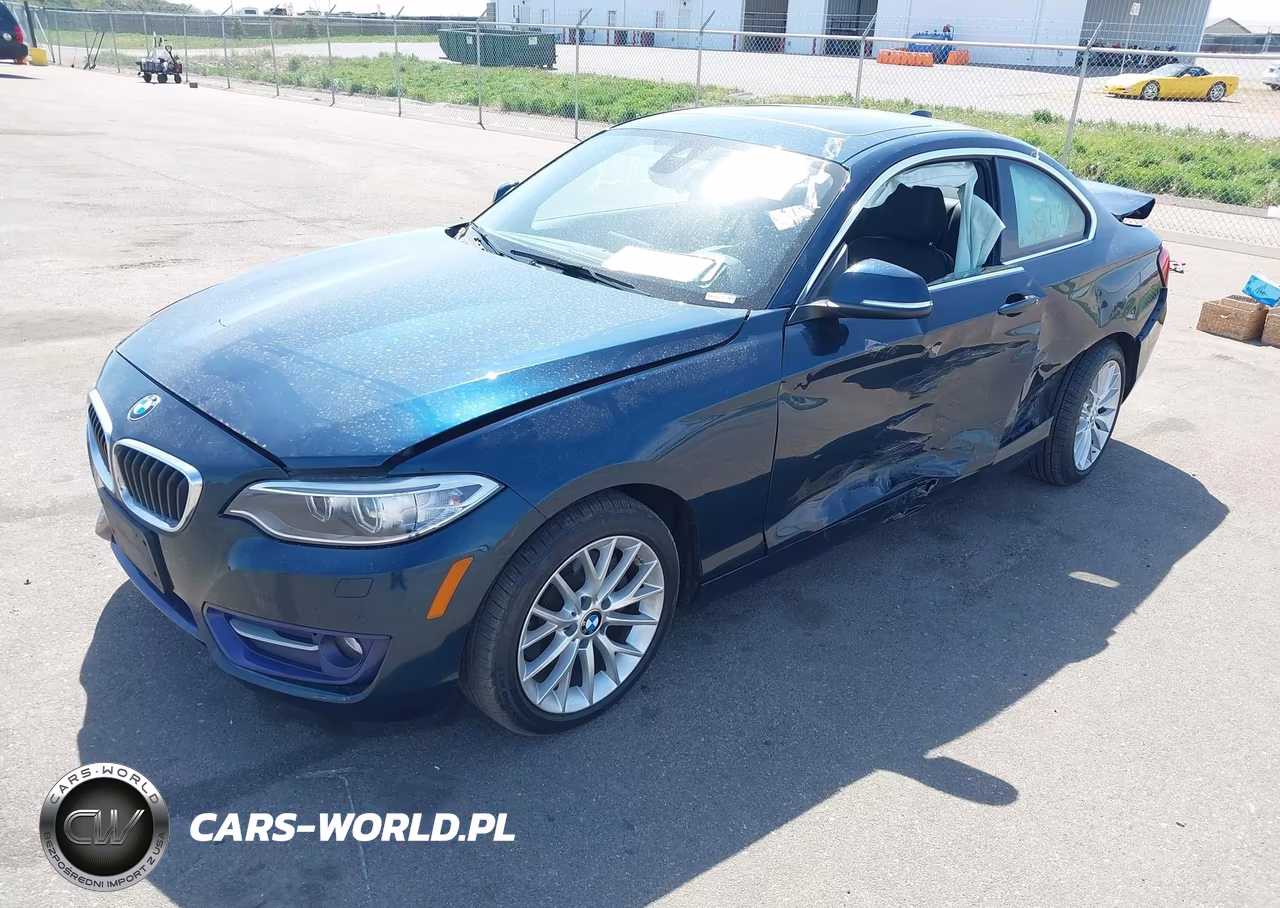2016 BMW 228I xDrive VIN:WBA1G9C53GV726683 - 2