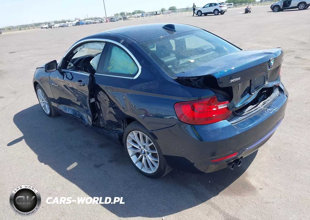 2016 BMW 228I xDrive VIN:WBA1G9C53GV726683 - 3