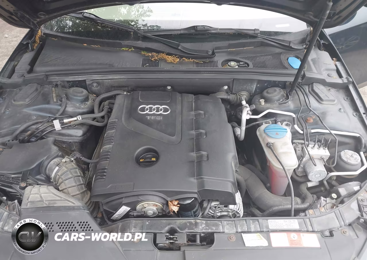 2010 Audi A4 2.0T Premium VIN:WAUFFAFL8AN023088 - 10