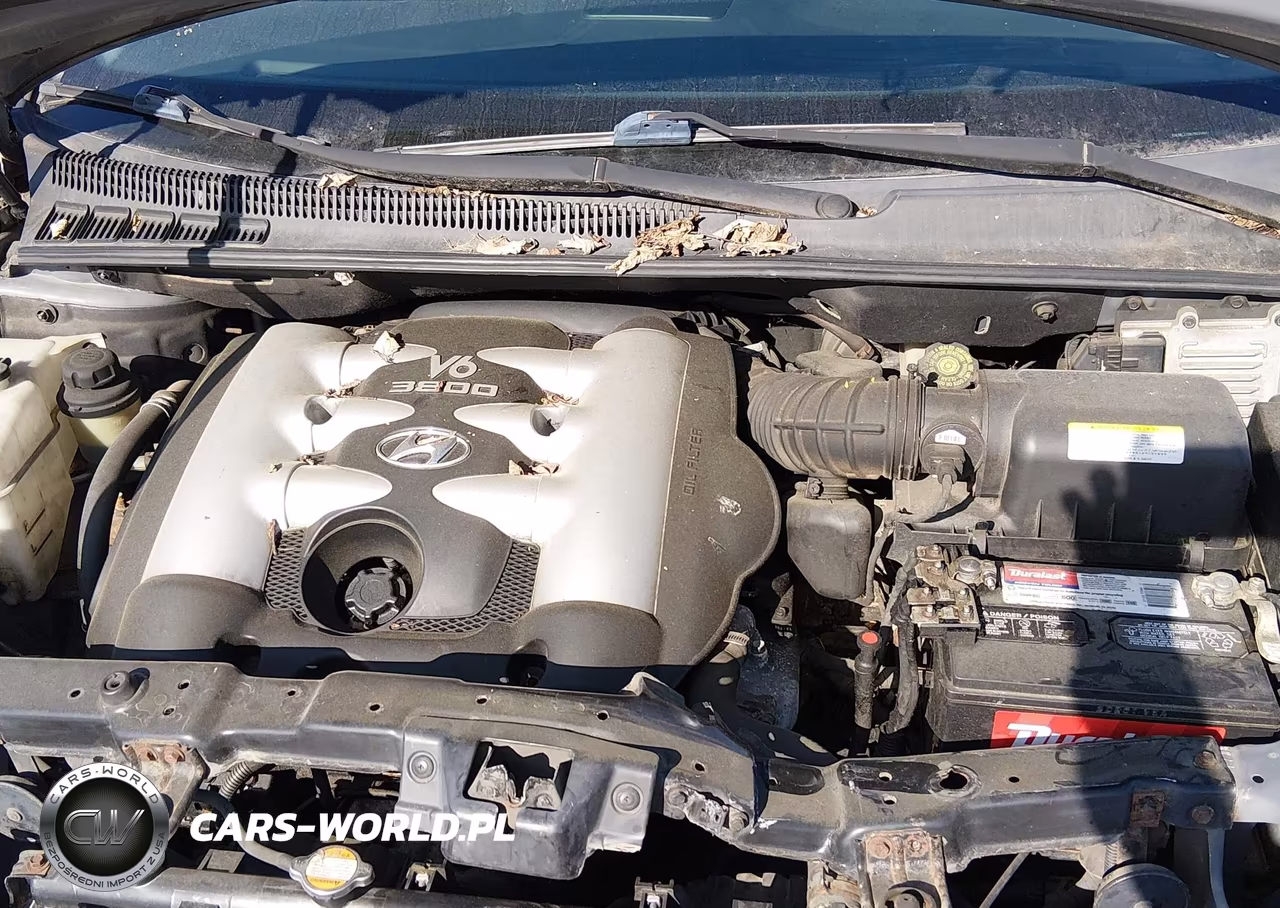 2007 Hyundai Entourage Gls-Limited-Se VIN:KNDMC233676020027 - 10