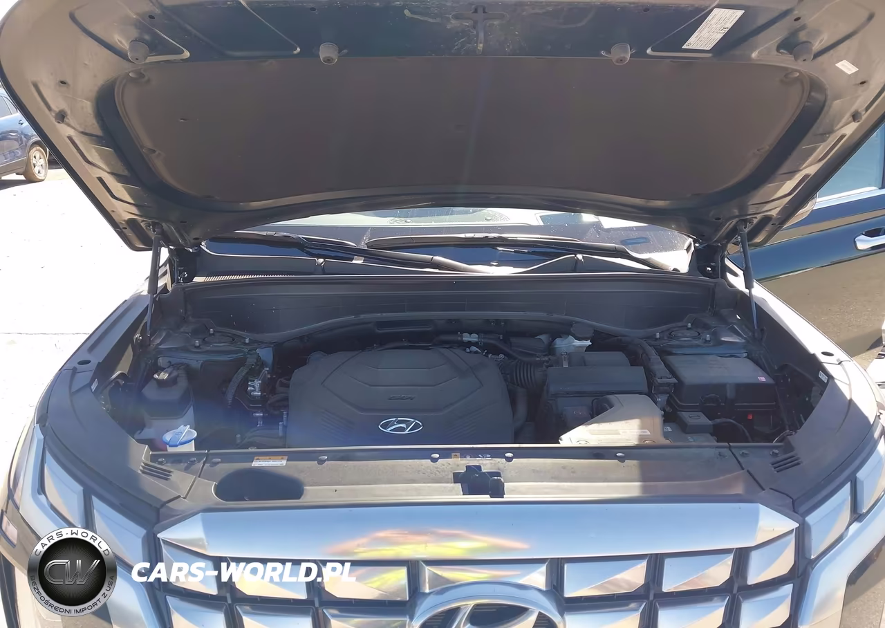 2025 Hyundai Palisade Calligraphy VIN:KM8R7DGEXSU885648 - 10