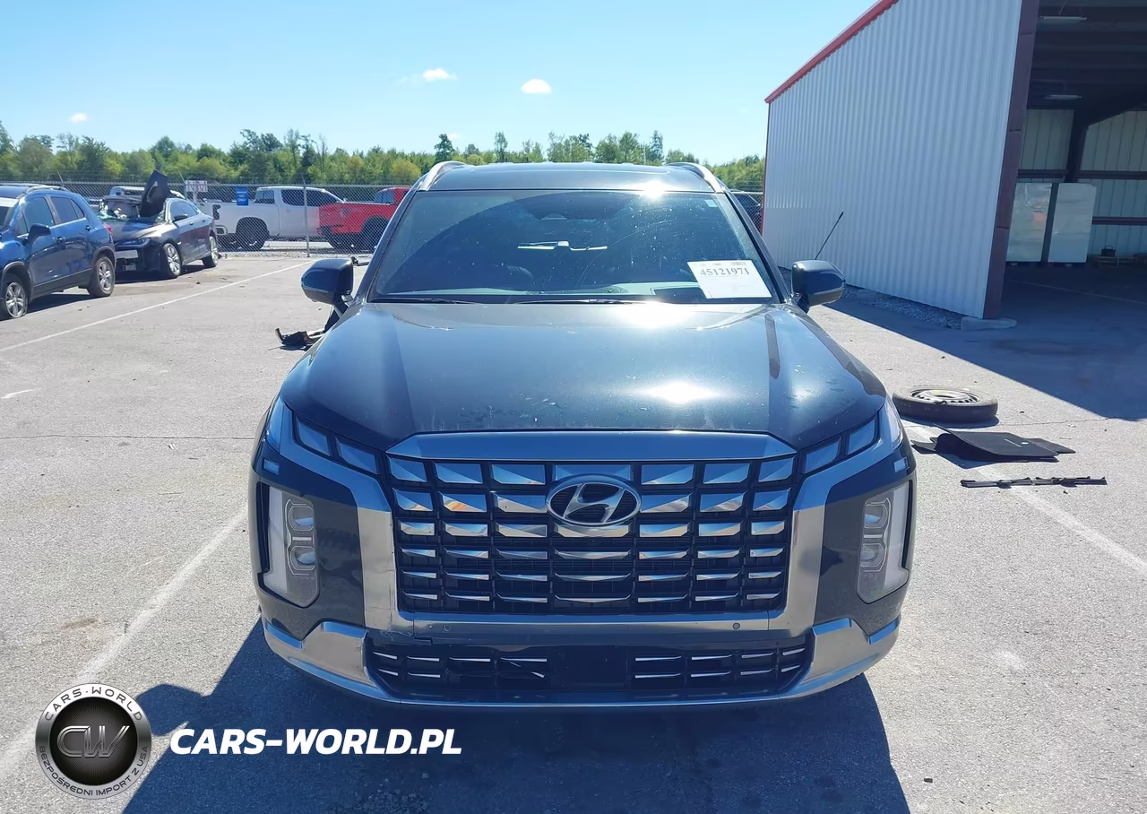 2025 Hyundai Palisade Calligraphy VIN:KM8R7DGEXSU885648 - 12