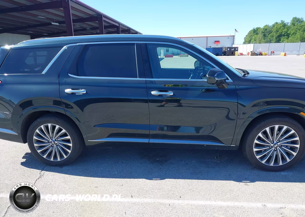 2025 Hyundai Palisade Calligraphy VIN:KM8R7DGEXSU885648 - 13