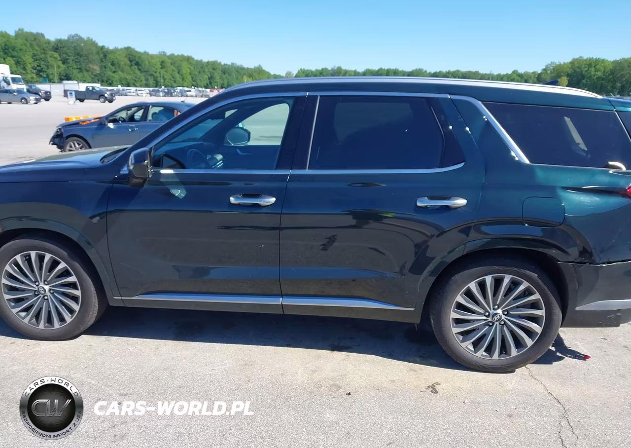 2025 Hyundai Palisade Calligraphy VIN:KM8R7DGEXSU885648 - 14
