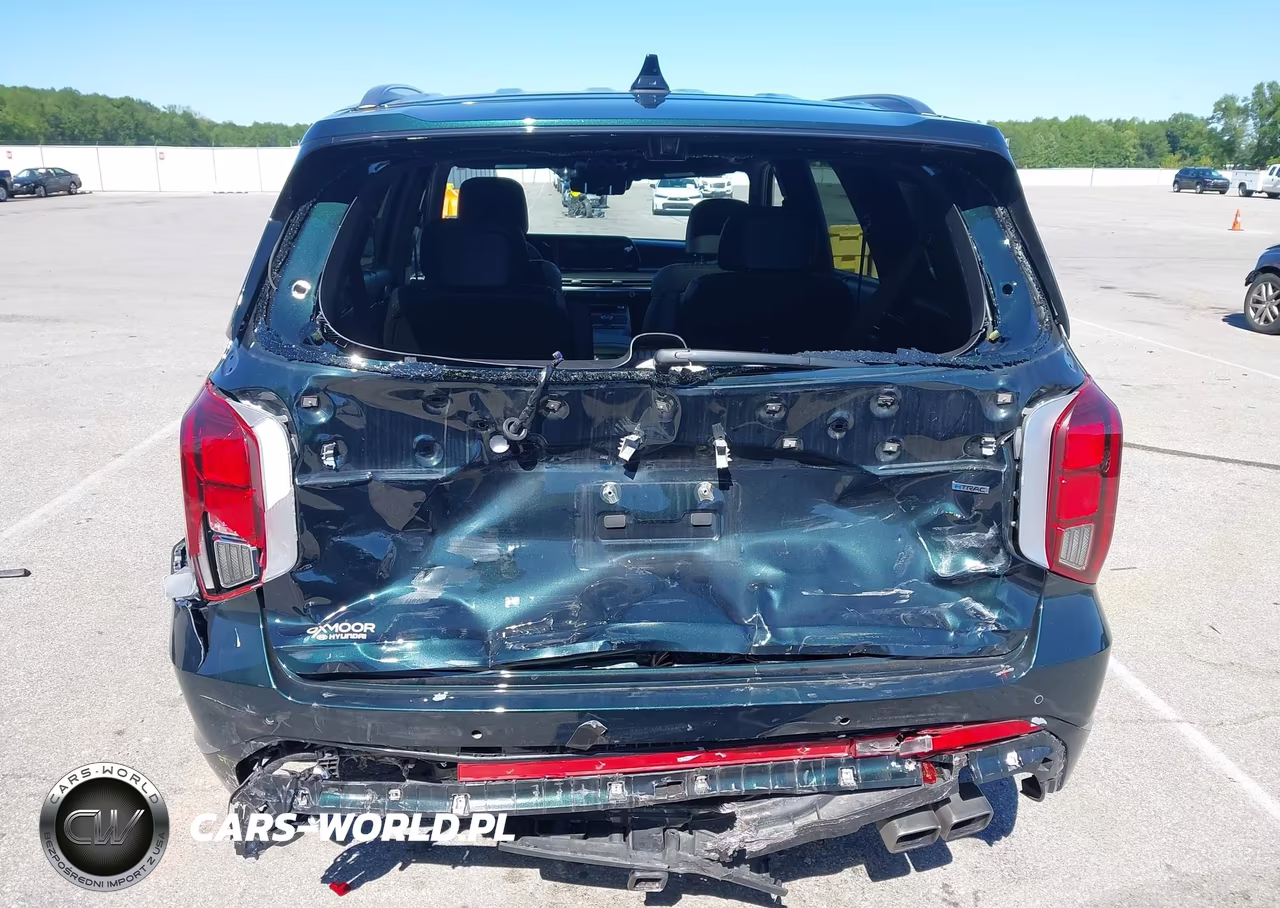 2025 Hyundai Palisade Calligraphy VIN:KM8R7DGEXSU885648 - 16