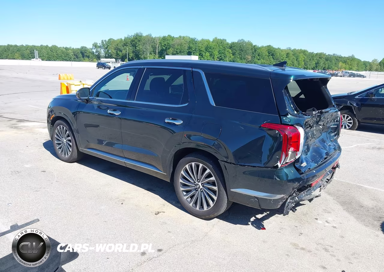 2025 Hyundai Palisade Calligraphy VIN:KM8R7DGEXSU885648 - 3