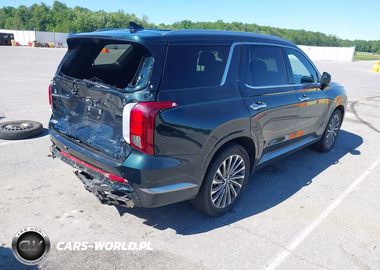 2025 Hyundai Palisade Calligraphy VIN:KM8R7DGEXSU885648 - 4