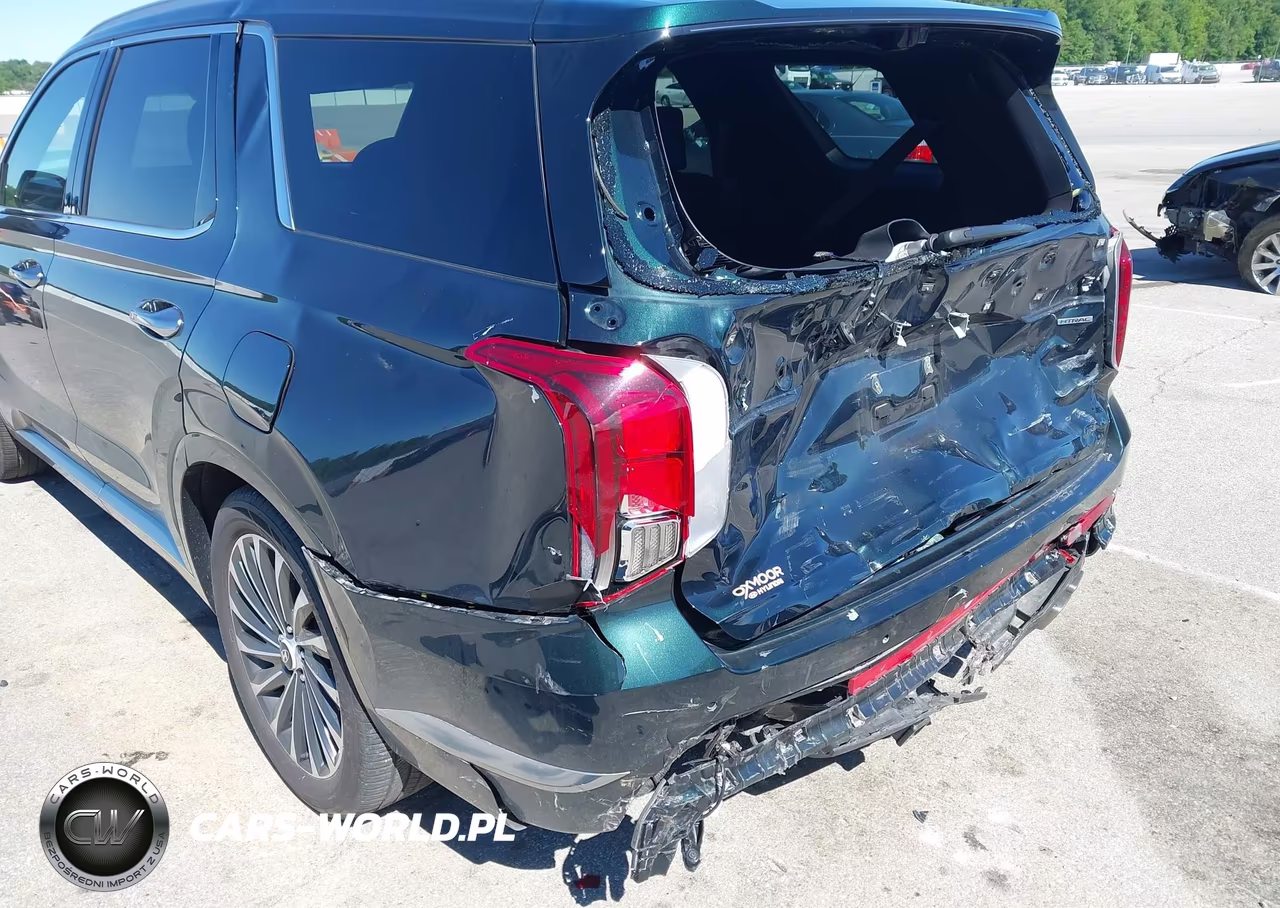 2025 Hyundai Palisade Calligraphy VIN:KM8R7DGEXSU885648 - 6