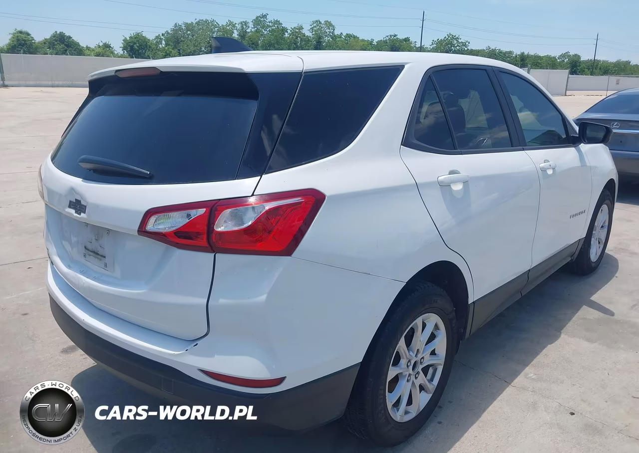 2020 Chevrolet Equinox Fwd Ls VIN:3GNAXHEV6LS723228 - 4