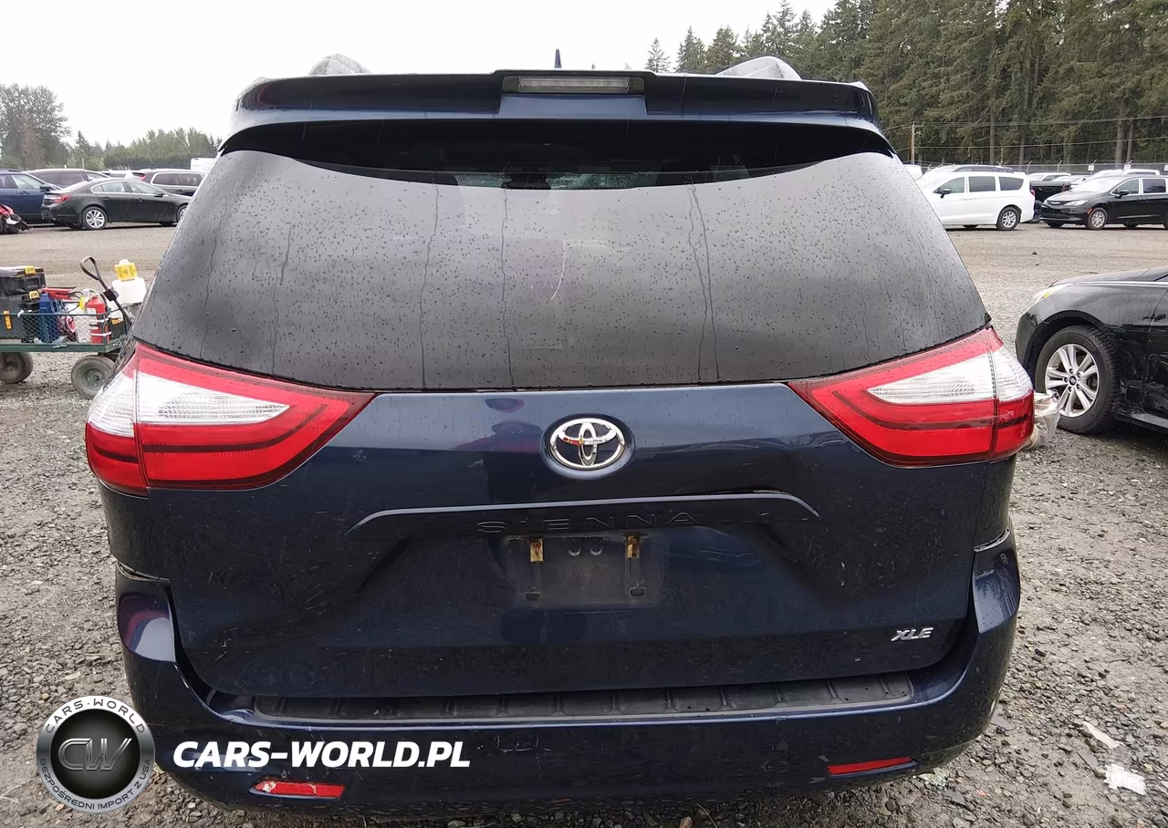 2018 Toyota Sienna Xle 8 Passenger VIN:5TDYZ3DC3JS942704 - 16