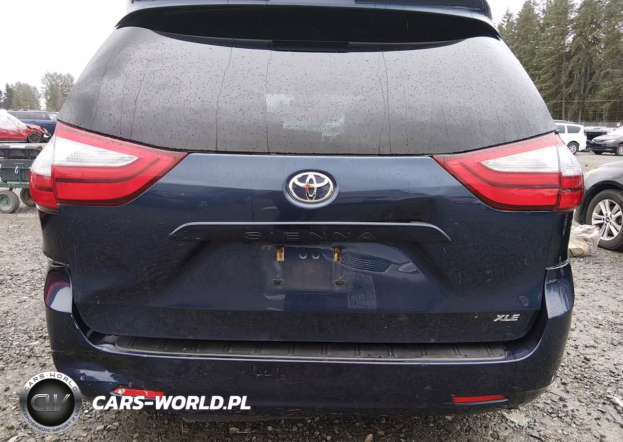 2018 Toyota Sienna Xle 8 Passenger VIN:5TDYZ3DC3JS942704 - 6