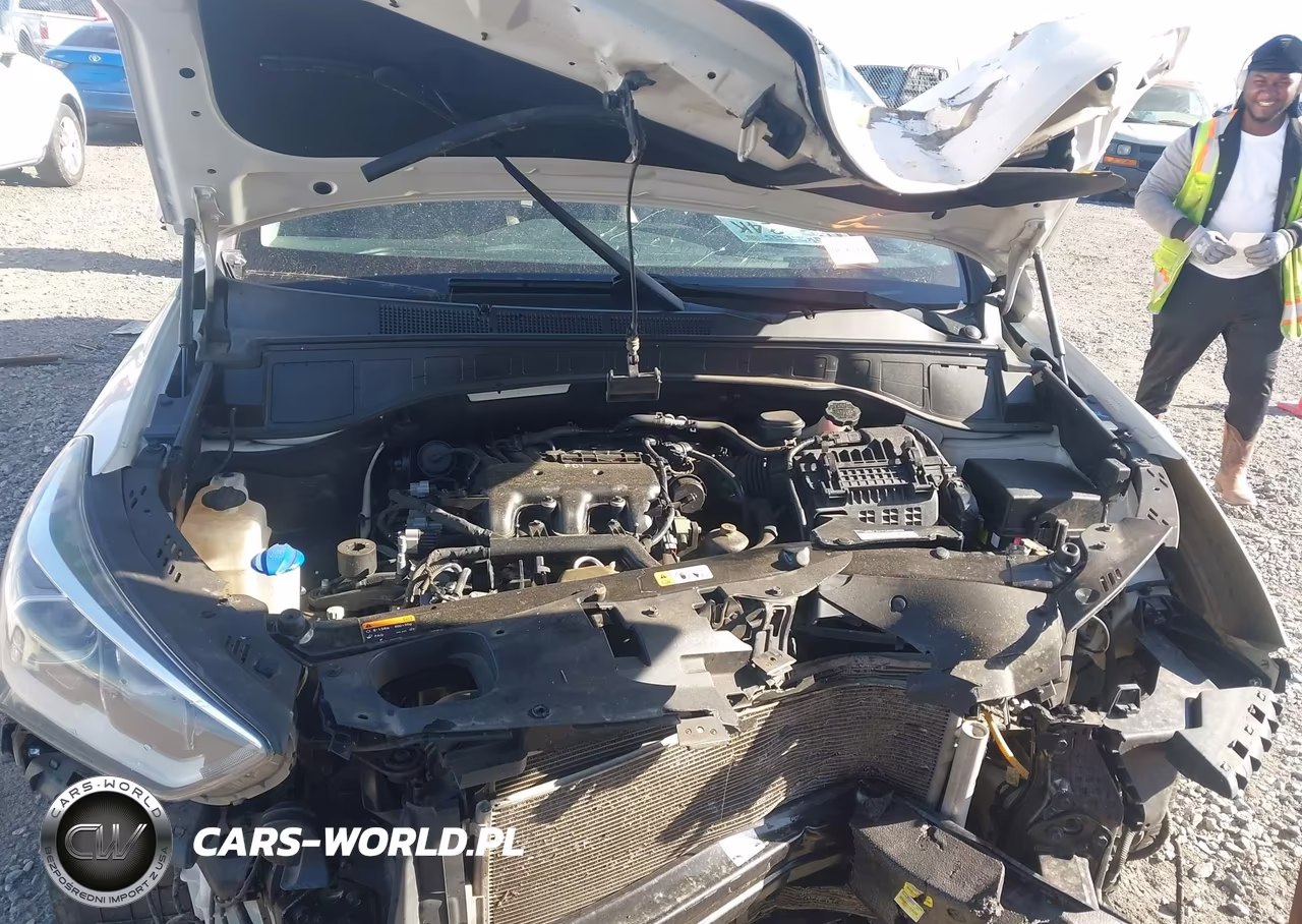 2018 Hyundai Santa Fe Limited Ultimate VIN:KM8SR4HF4JU276041 - 10