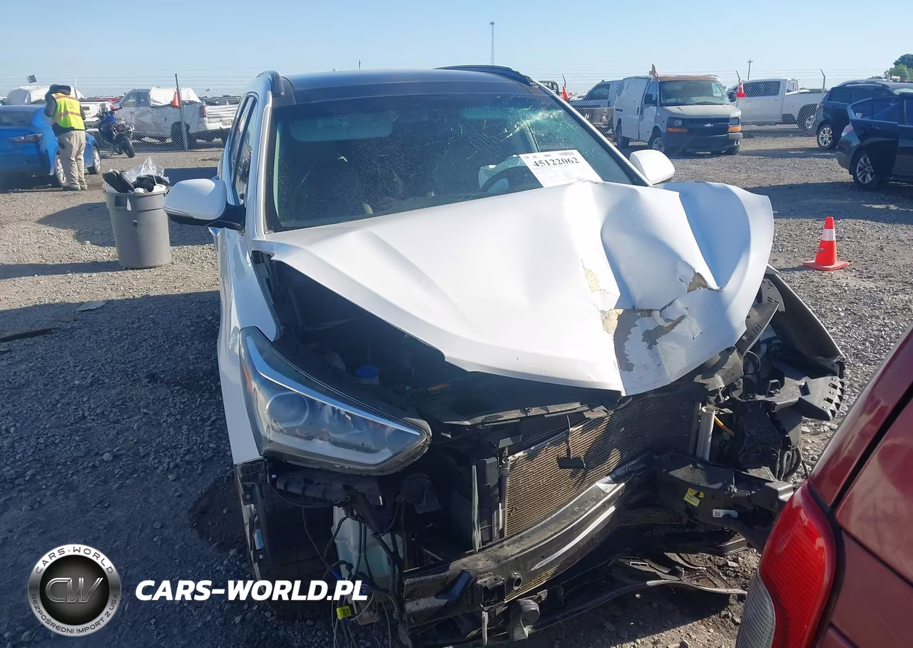 2018 Hyundai Santa Fe Limited Ultimate VIN:KM8SR4HF4JU276041 - 13