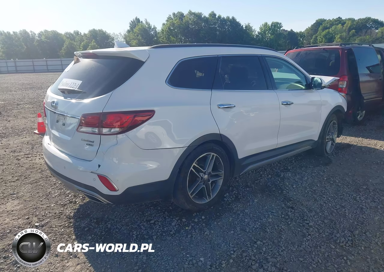 2018 Hyundai Santa Fe Limited Ultimate VIN:KM8SR4HF4JU276041 - 4