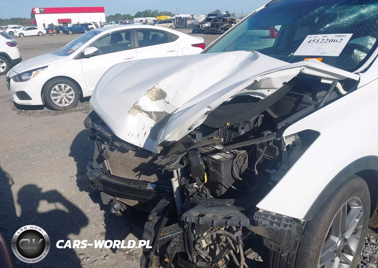 2018 Hyundai Santa Fe Limited Ultimate VIN:KM8SR4HF4JU276041 - 6