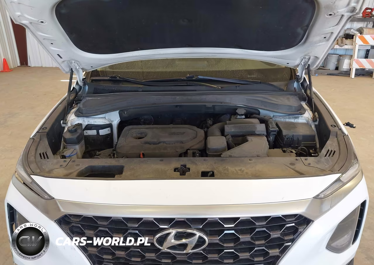 2020 Hyundai Santa Fe Sel VIN:5NMS3CAD7LH276246 - 10