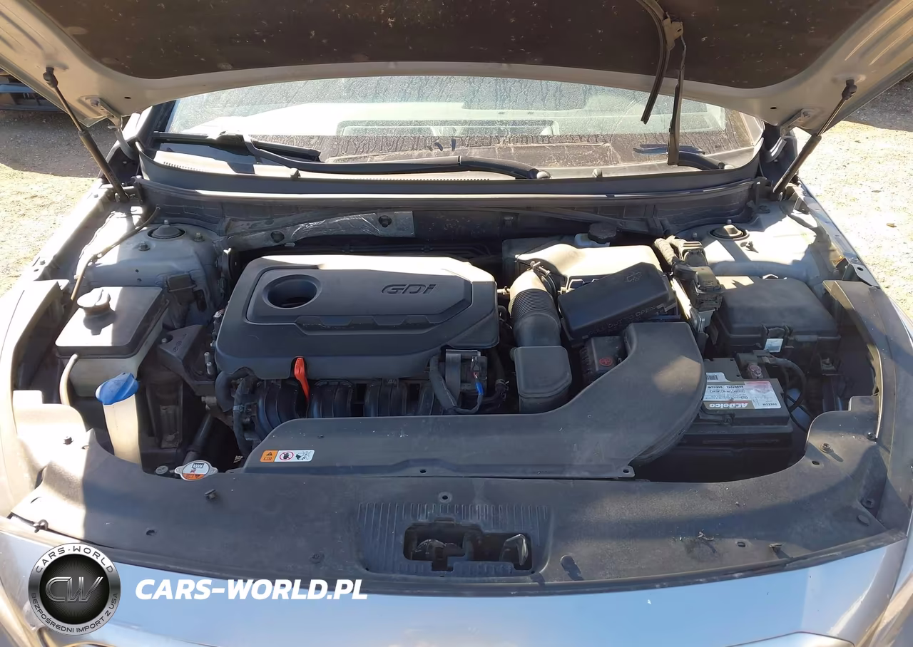 2016 Hyundai Sonata Se VIN:5NPE24AF5GH416245 - 10