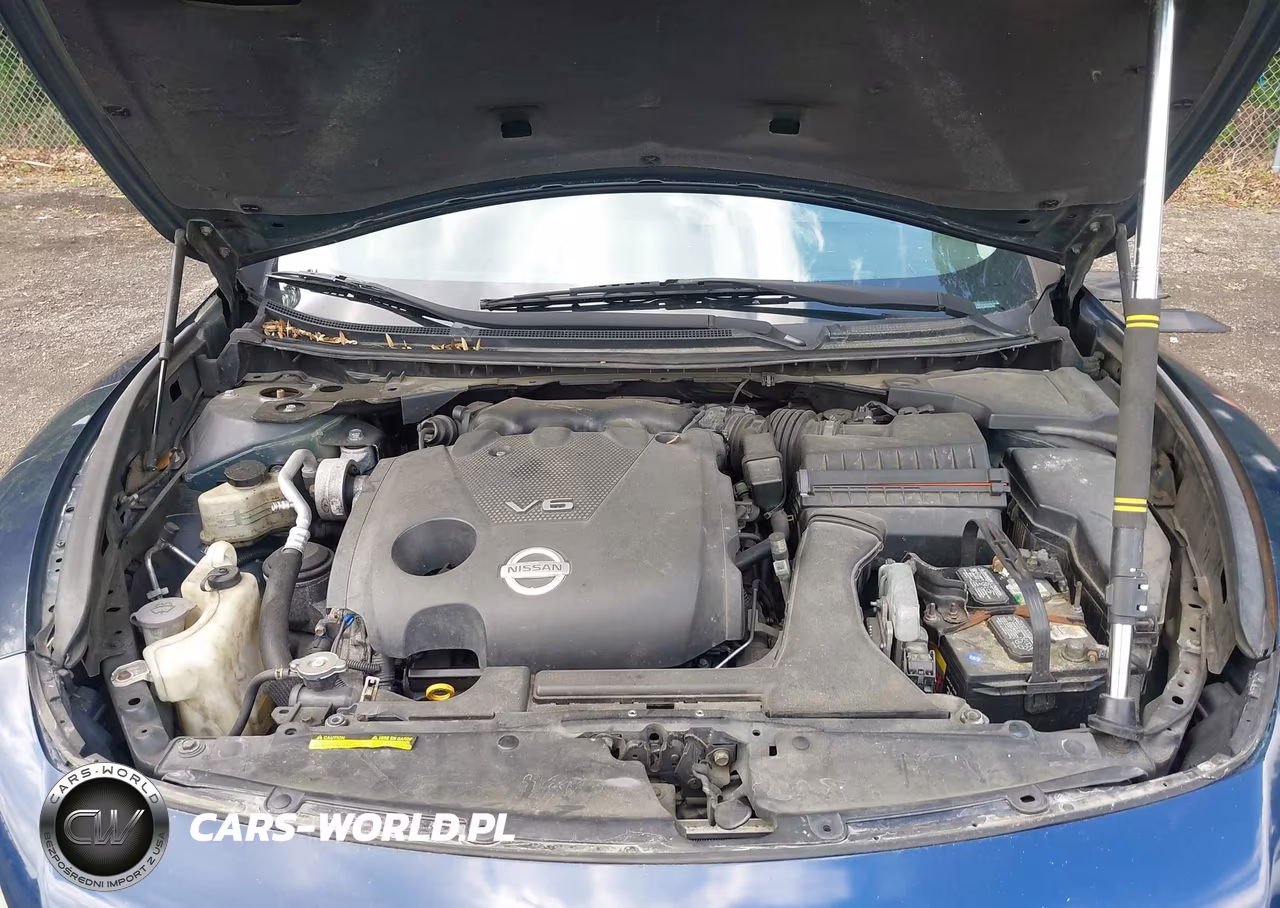 2009 Nissan Maxima 3.5 Sv VIN:1N4AA51E39C833768 - 10