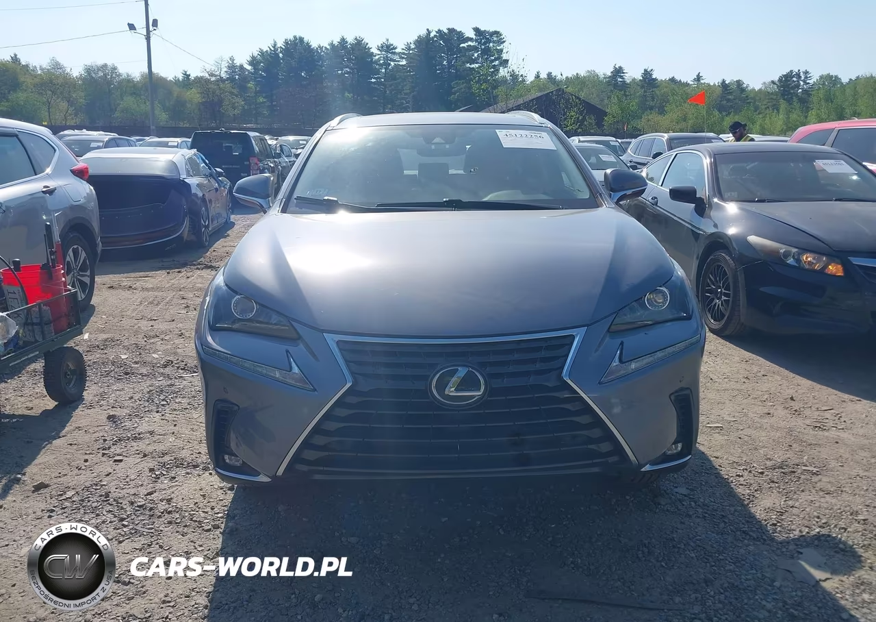 2020 Lexus Nx 300 VIN:JTJDARDZXL2232929 - 12