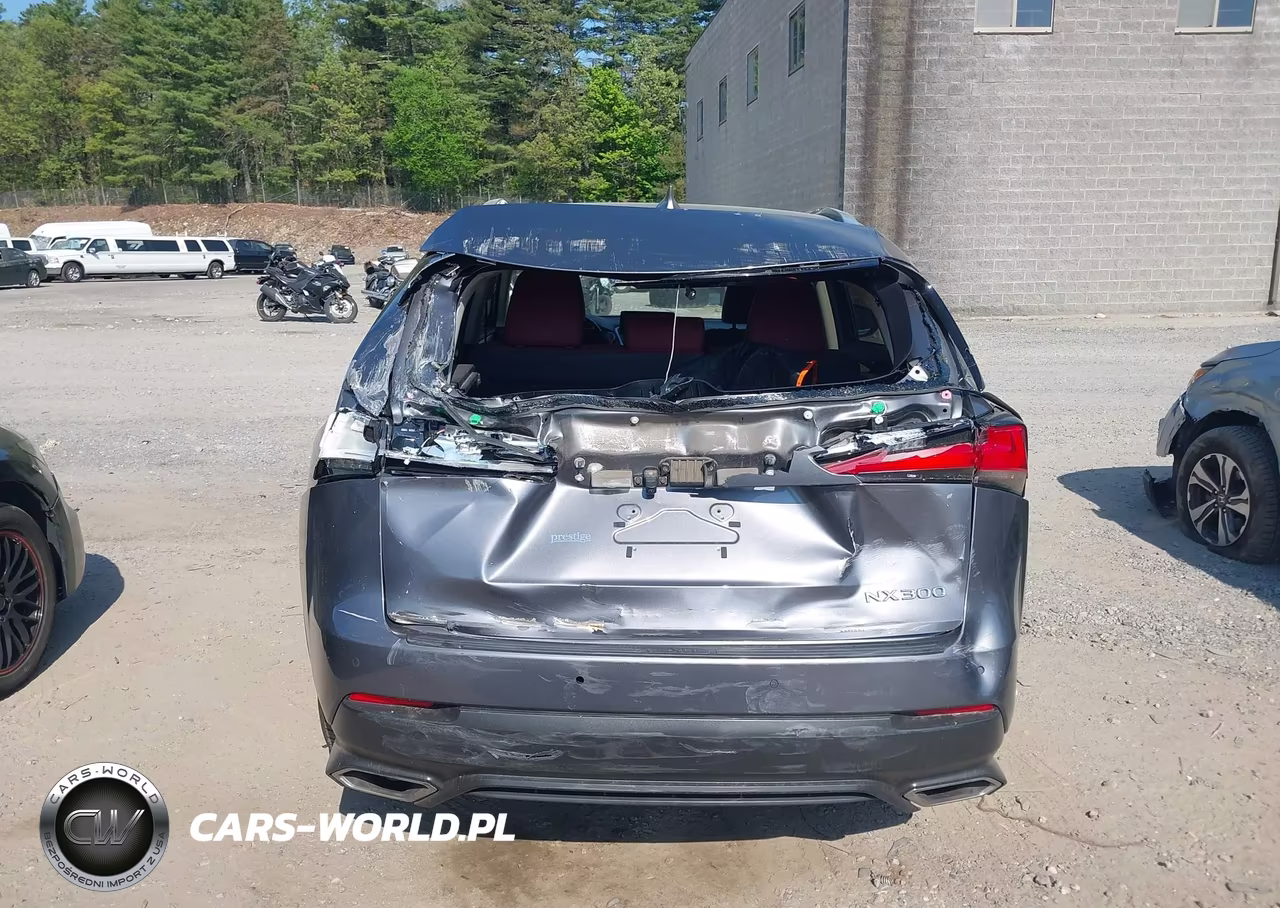 2020 Lexus Nx 300 VIN:JTJDARDZXL2232929 - 16