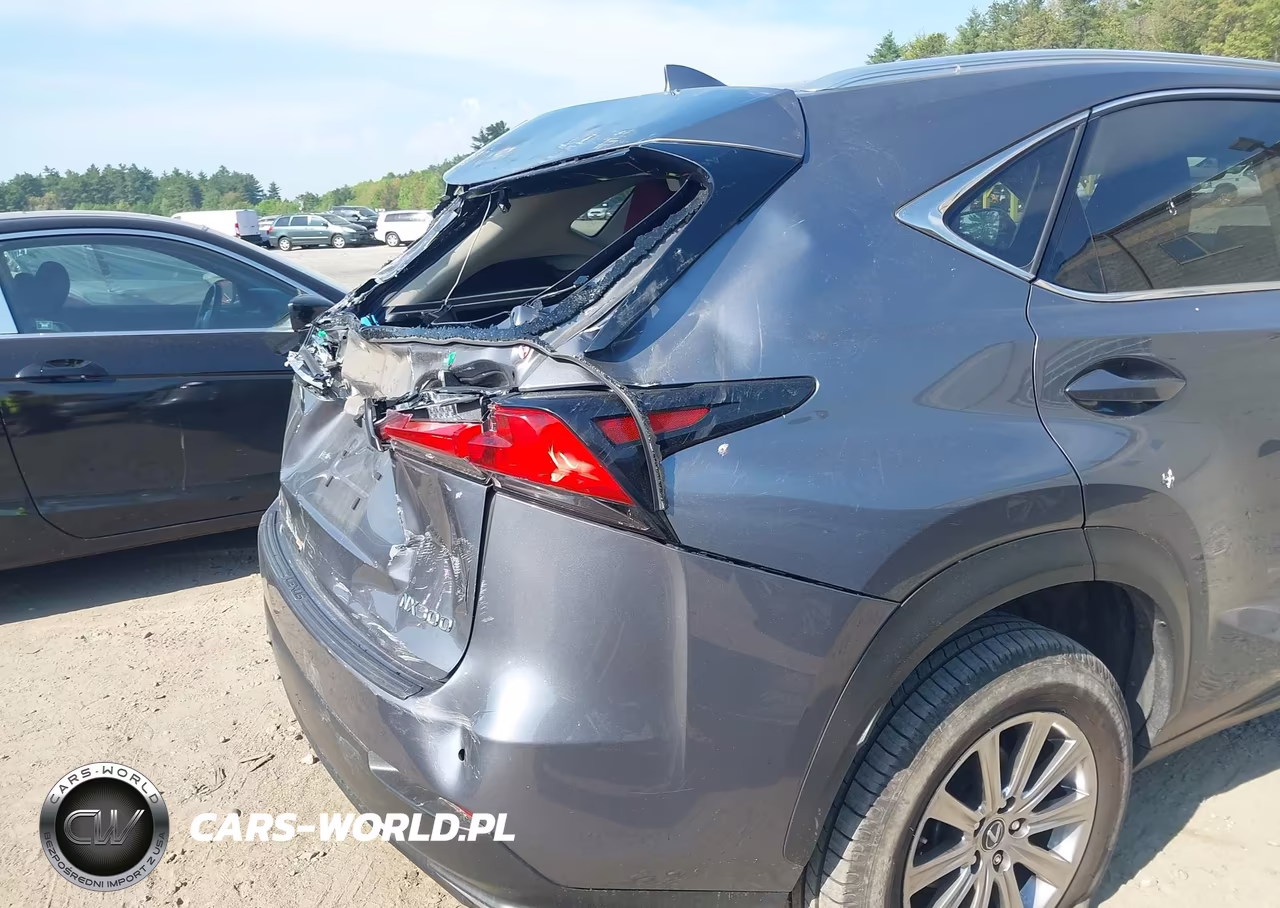 2020 Lexus Nx 300 VIN:JTJDARDZXL2232929 - 17