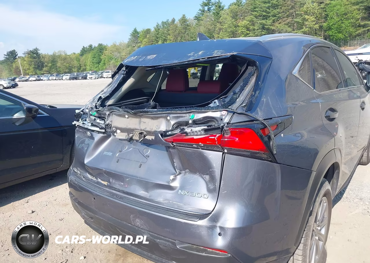2020 Lexus Nx 300 VIN:JTJDARDZXL2232929 - 18