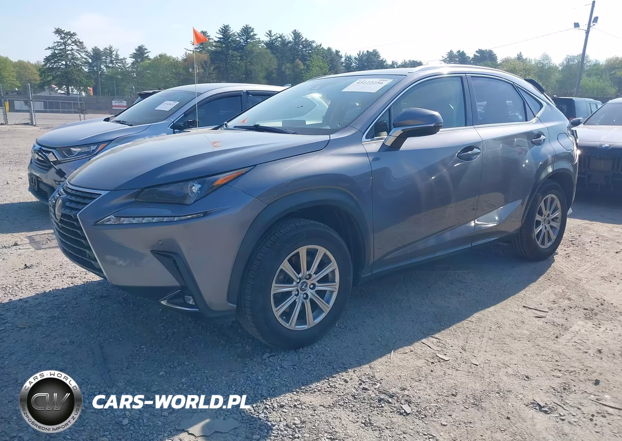 2020 Lexus Nx 300 VIN:JTJDARDZXL2232929 - 2
