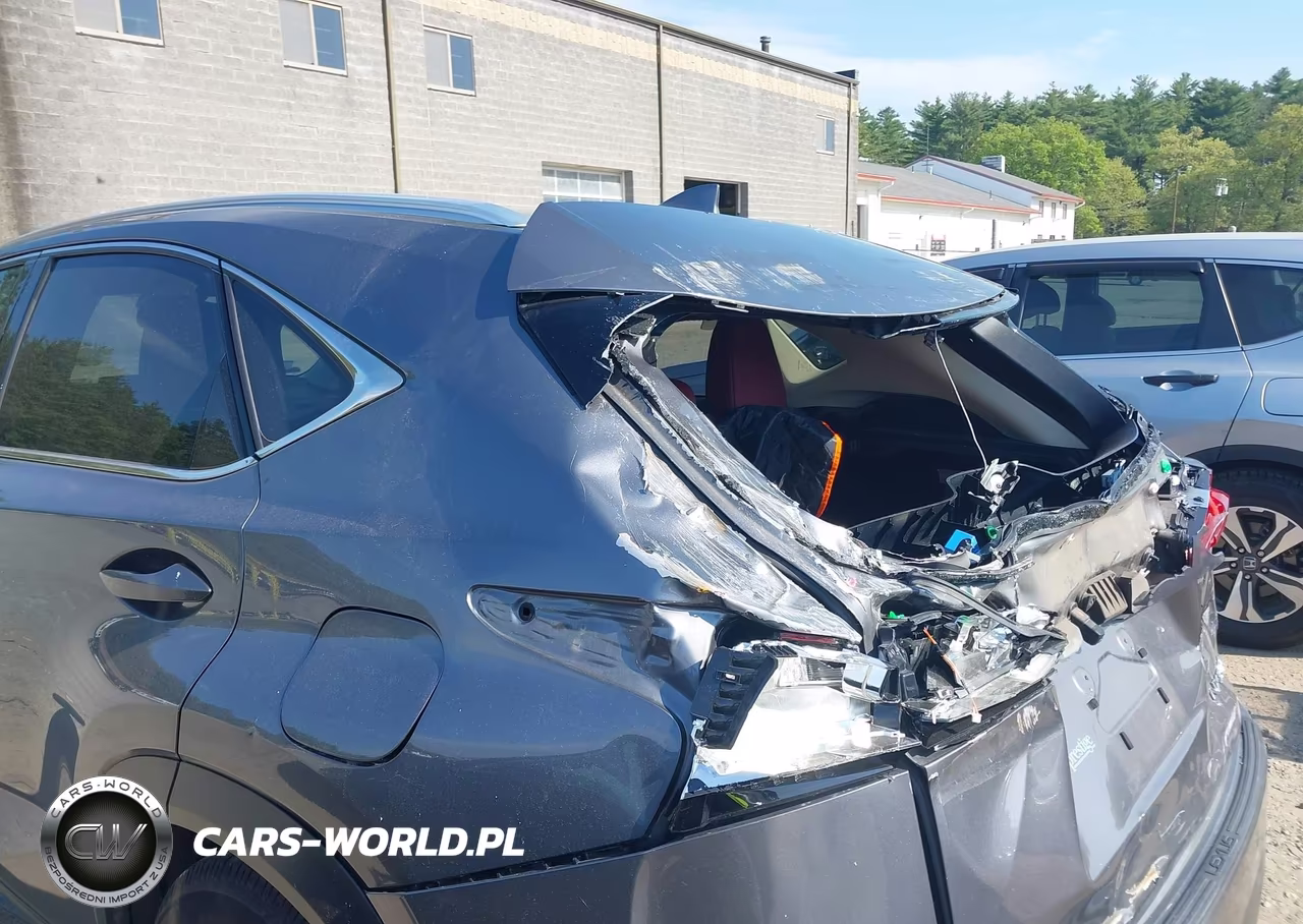 2020 Lexus Nx 300 VIN:JTJDARDZXL2232929 - 20