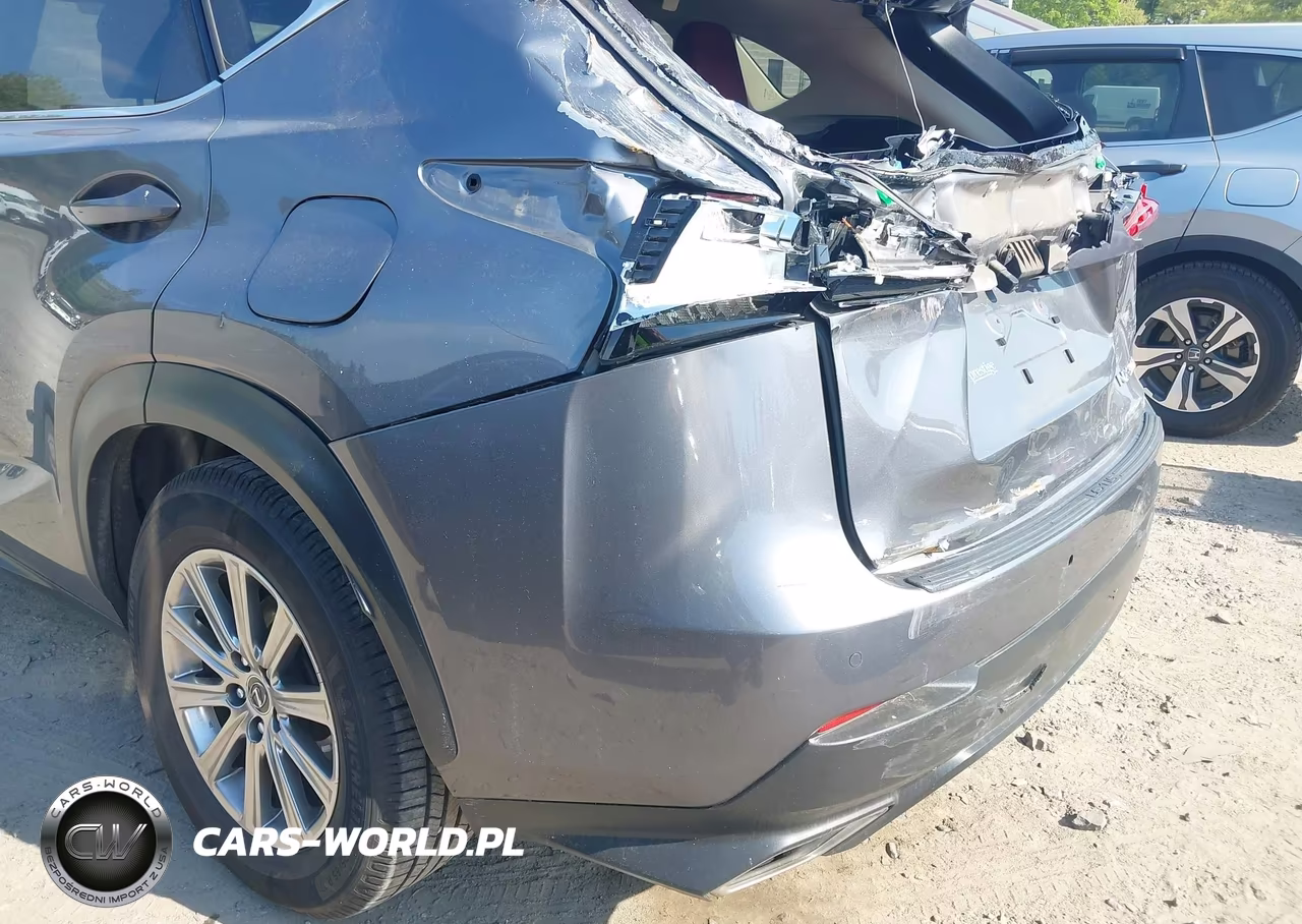 2020 Lexus Nx 300 VIN:JTJDARDZXL2232929 - 21