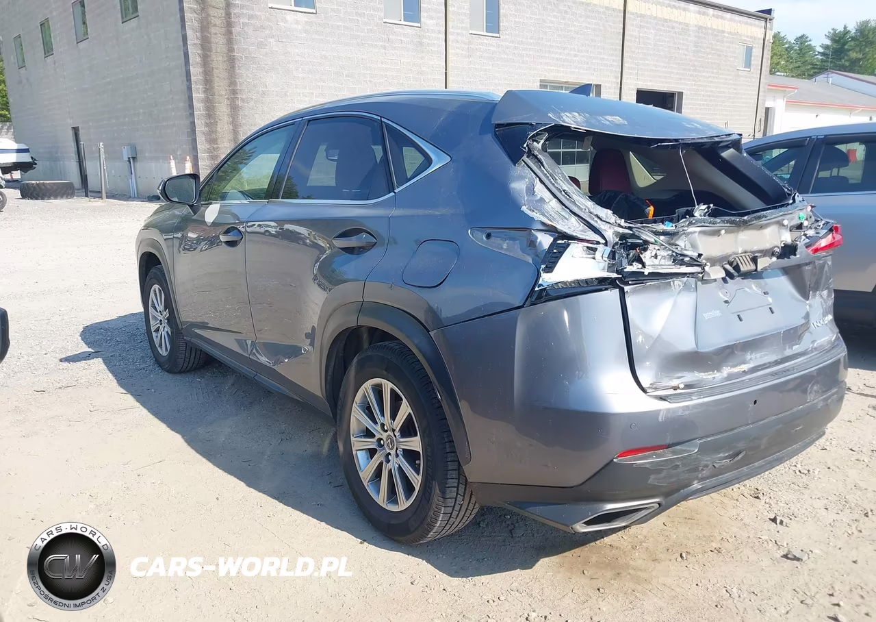 2020 Lexus Nx 300 VIN:JTJDARDZXL2232929 - 3