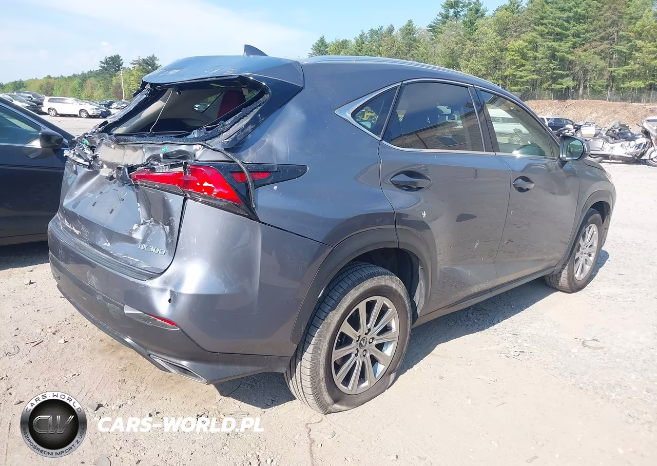 2020 Lexus Nx 300 VIN:JTJDARDZXL2232929 - 4